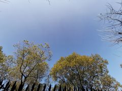 -上海神旺大酒店