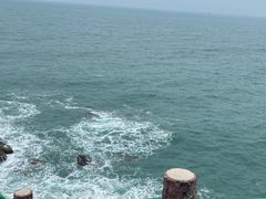 -广东惠东海龟国家级自然保护区