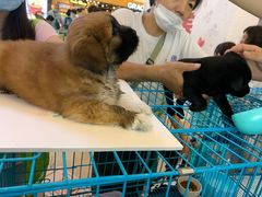 -天虹购物中心(石路店)