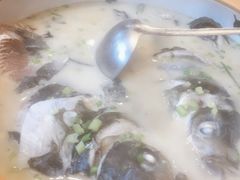 -饭怕鱼(阳光100店)