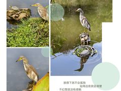 -深圳市中科院仙湖植物园