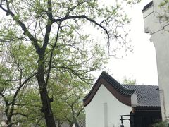 -武汉大学-樱园