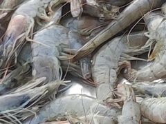 -同兴半盆菜酒家(打浦路店)