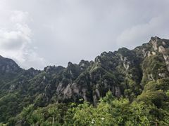 -王顺山国家森林公园