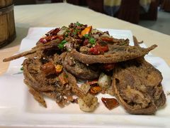 -怪怪龙虾·澳洲蓝龙王·深夜食堂(惊驾路店)