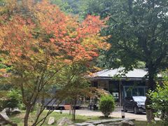 -少华山国家森林公园