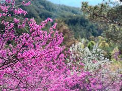 -天台山赤城山景区