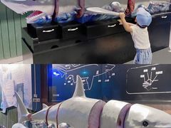 -石家庄海洋公园