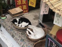 -磁器口古镇