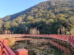 -广州市石门国家森林公园