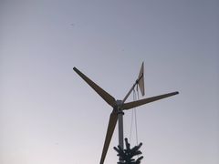 -呼兰河口湿地公园