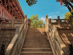 -三水森林公园
