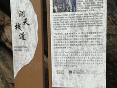 -洛阳白云山景区