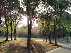-尚贤河湿地