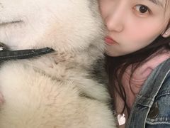 -Husky Go! 哈士奇体验馆·宠物咖啡厅狗咖