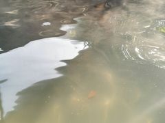 -航空小镇温泉