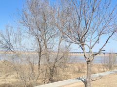 -黄河花园口旅游区