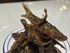 -呼吸森林·生态农庄农家乐私房菜