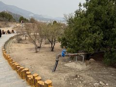-白水寺森林公园