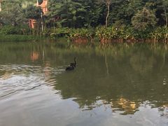 -曼听御花园
