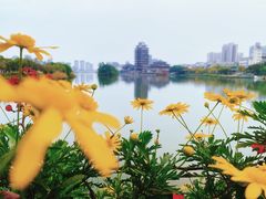 -眉山湿地公园(东坡区)