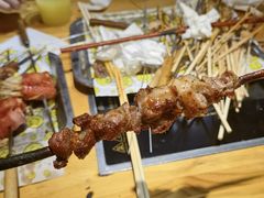 碳烤红柳羊肉-新疆烧烤王(广灵店)