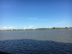 -大湾区中央湿地公园-十九涌