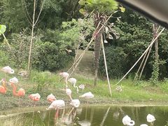 -杭州野生动物世界