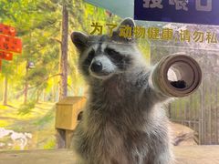 -大连圣亚海洋世界