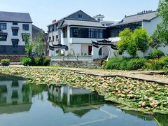 -东梓关景区村庄