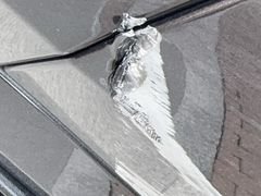 -广州粤之宝宝马4S店(雅瑶店)