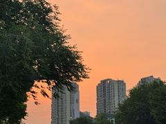 -青枫公园