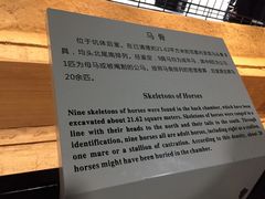 -秦始皇帝陵博物院-丽山园