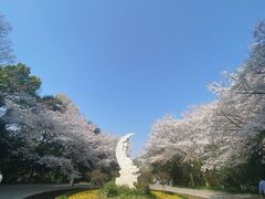 -杭州少年儿童公园
