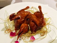 玻璃乳鸽-翠府(翠湖北路店)