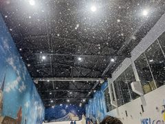 -Mr·Kuma酷么先生雪之乐园