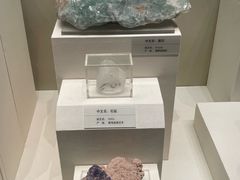 -天津自然博物馆