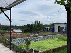 -美家乐农庄·露营·团建(大治路店)