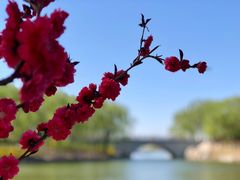 -大兴滨河森林公园