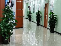 -茂菊口腔连锁(浦东南路店)