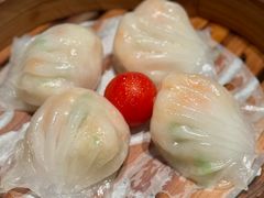 -新兴·金羊座·粤菜点心(乐峰店)