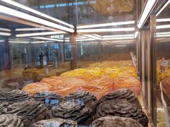 -奈雪的茶(石家庄万象城店)