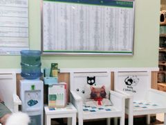 -瑞鹏宠物医院·夜间急症·心超·猫科(祖庙分店)