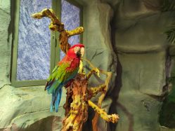 -Zoolung Zoolung动物主题公园(海信广场店)