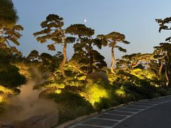 -罗红摄影艺术馆