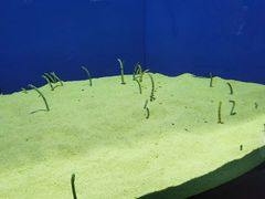 -上海海洋水族馆