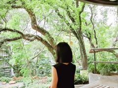 -香港大学
