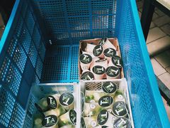 水产区-Dr.t茶博士(广技师店)