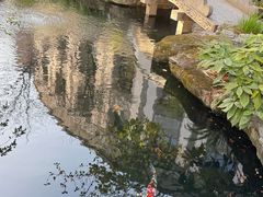 -香然会·园林雅宴(陆家嘴店)