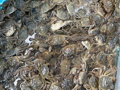 -仙螺岛海鲜自助餐厅(总店)